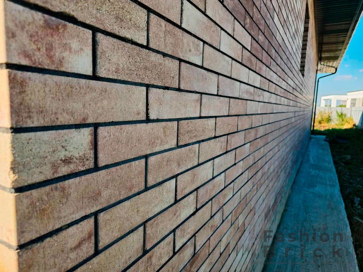 Шварцбраун Гладкий