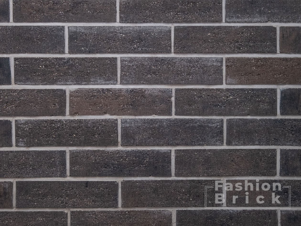 Шварцбраун Гладкий